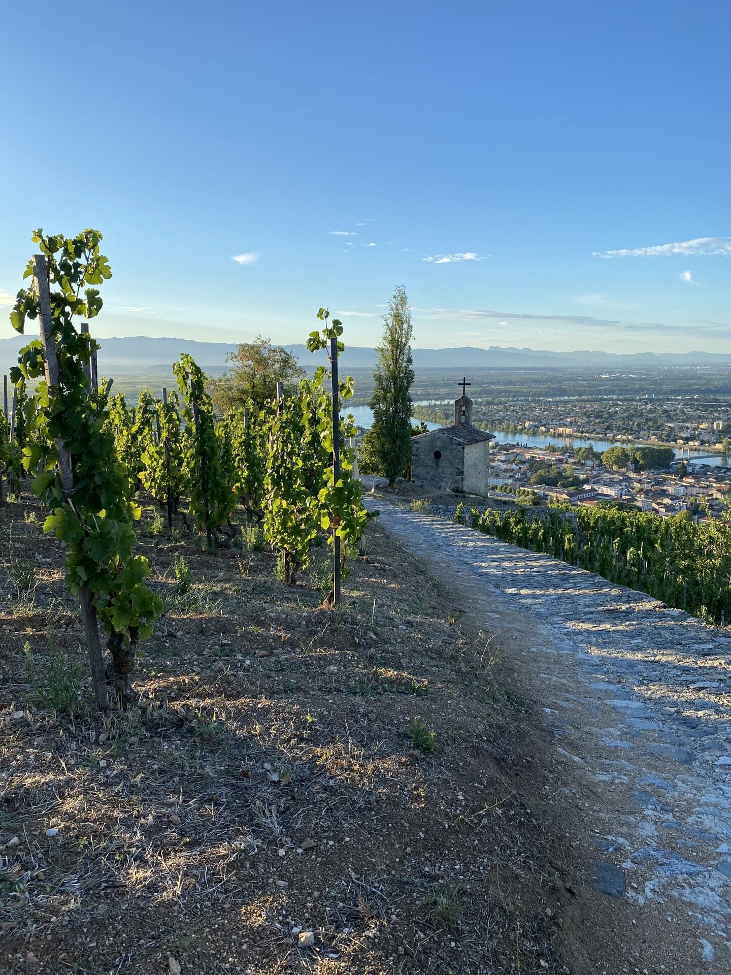 Droit rural